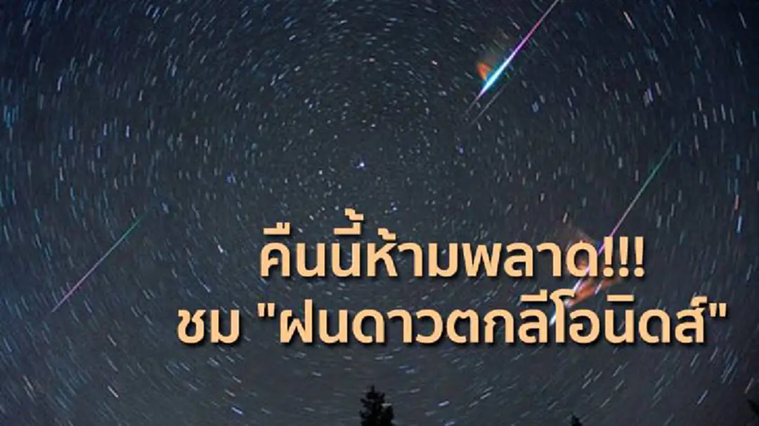 คืนนี้ห้ามพลาด!!! ชม "ฝนดาวตกลีโอนิดส์" คืนนี้ห้ามพลาด!!! ชม "ฝนดาวตกลีโอนิดส์"