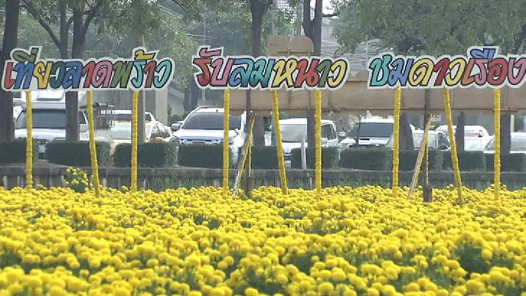 ผู้ว่าฯ กทม. เชิญชวนร่วมงาน "เที่ยวลาดพร้าว รับลมหนาว ชมดาวเรือง"