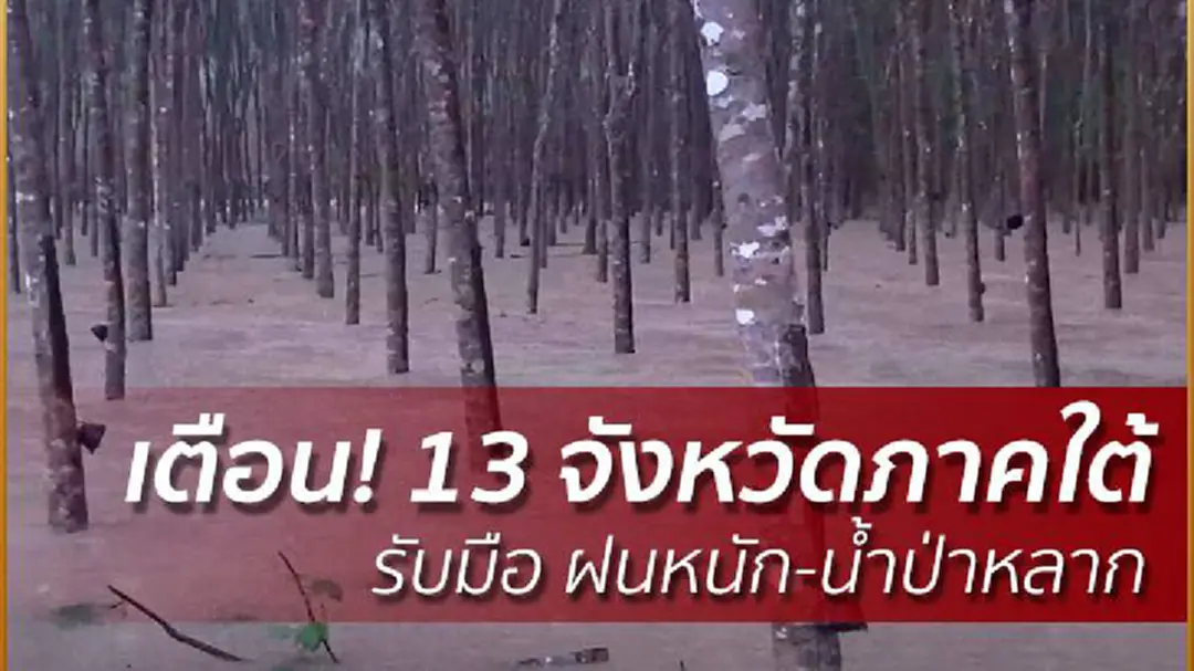 อุตุฯ เตือน 13 จังหวัดภาคใต้รับมือ ฝนหนัก-น้ำป่าหลาก อุตุฯ เตือน 13 จังหวัดภาคใต้รับมือ ฝนหนัก-น้ำป่าหลาก