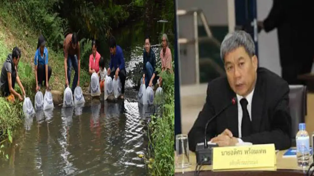 ถ้าปล่อยปลาตามวัดกลัวบาป แนะนำปล่อยปลาพันธุ์พื้นเมืองลงแหล่งน้ำ เห็นผลชาตินี้