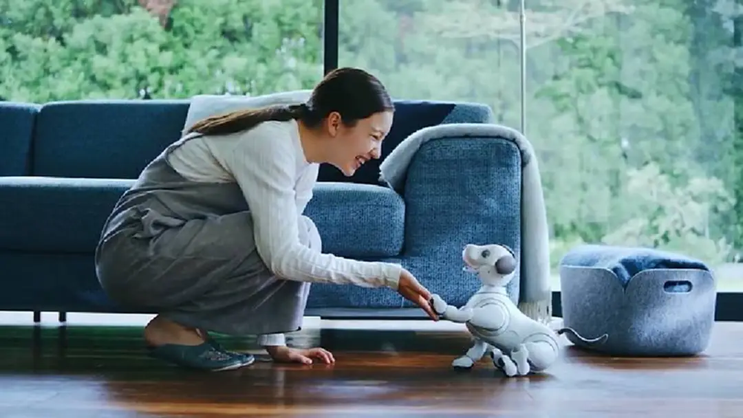 หุ่นยนต์น้องหมารุ่นใหม่ เหมือนสุนัขจริงมากที่สุดในโลก
