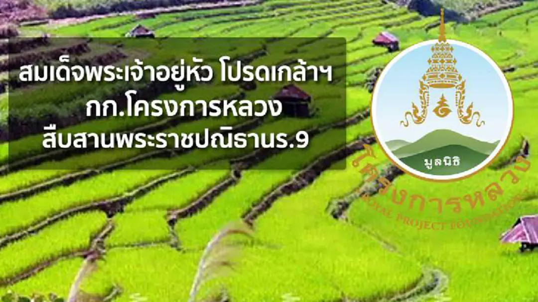 สมเด็จพระเจ้าอยู่หัว โปรดเกล้าฯกก.โครงการหลวง สืบสานพระราชปณิธานร.9 สมเด็จพระเจ้าอยู่หัว โปรดเกล้าฯกก.โครงการหลวง สืบสานพระราชปณิธานร.9