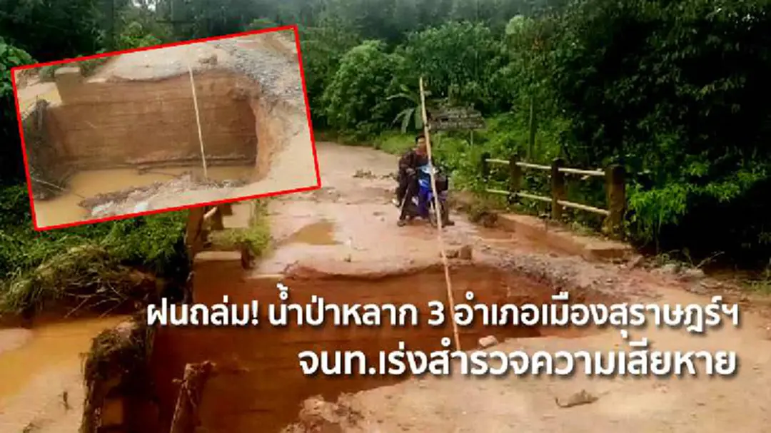 ฝนถล่ม! น้ำป่าหลาก 3 อำเภอเมืองสุราษฎร์ฯ จนท.เร่งสำรวจความเสียหาย ฝนถล่ม! น้ำป่าหลาก 3 อำเภอเมืองสุราษฎร์ฯ จนท.เร่งสำรวจความเสียหาย