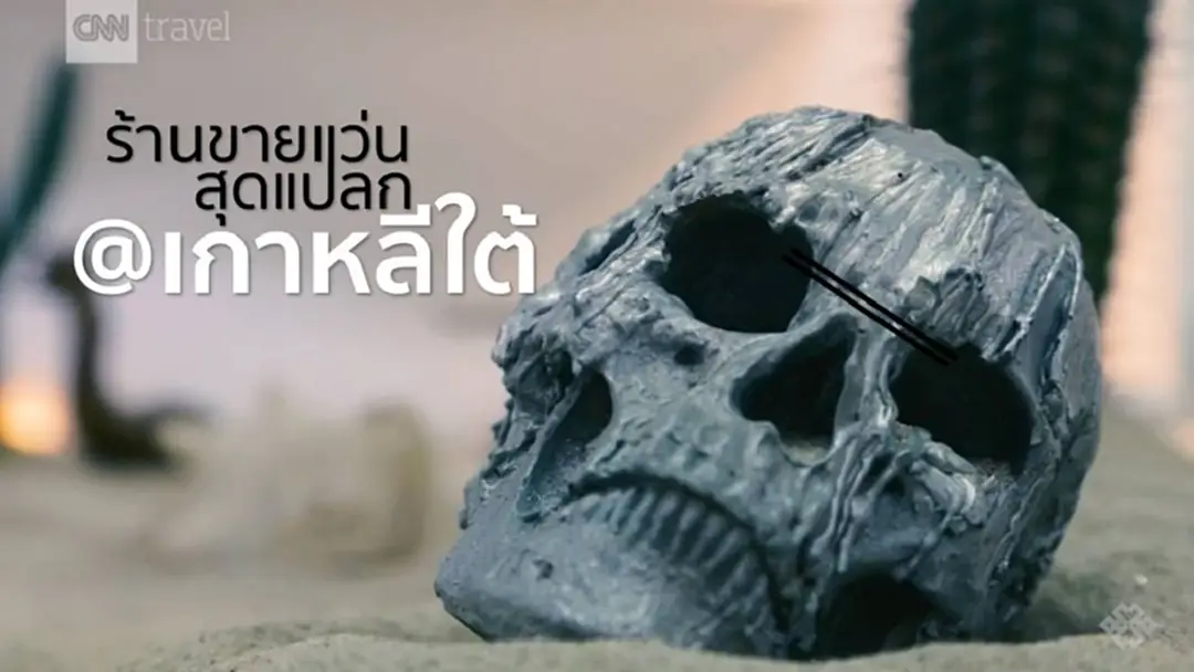 ร้านขายแว่นสุดแปลกในเกาหลีใต้ ร้านขายแว่นสุดแปลกในเกาหลีใต้