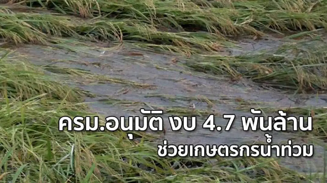 ครม.อนุมัติ งบ 4.7 พันล้าน ช่วยเกษตรกรน้ำท่วม ครม.อนุมัติ งบ 4.7 พันล้าน ช่วยเกษตรกรน้ำท่วม