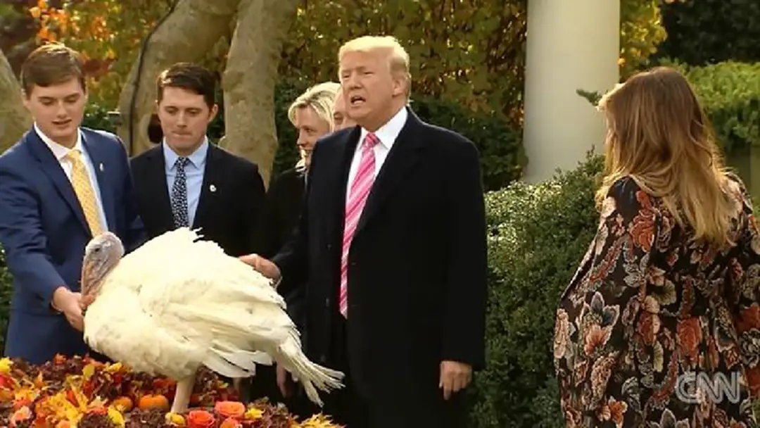 ทรัมป์ “ปล่อยไก่” ทรัมป์ “ปล่อยไก่”