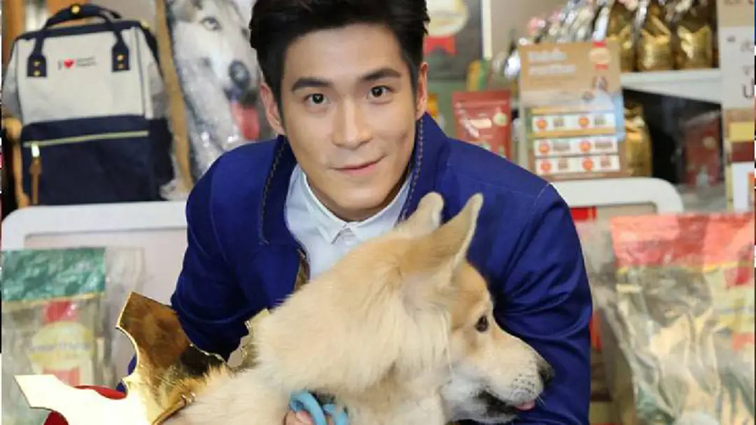 น่ารัก! หนุ่มตี๋อาเล็กพาน้องหมาตัวโปรดเดินแฟชั่นโชว์ครั้งแรก