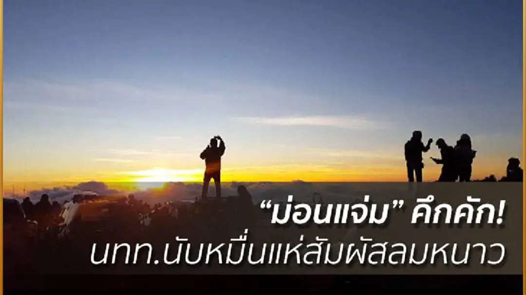 "ม่อนแจ่ม" คึกคัก! นทท.นับหมื่นแห่สัมผัสลมหนาว "ม่อนแจ่ม" คึกคัก! นทท.นับหมื่นแห่สัมผัสลมหนาว