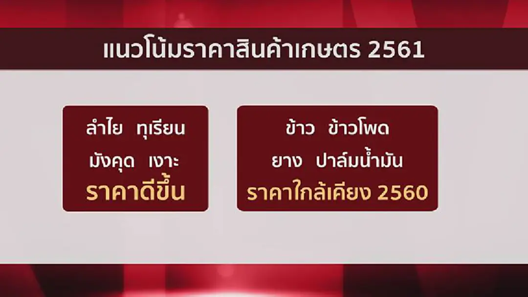 สศก.เตือนราคาข้าว-ยางปีหน้าไม่ขยับขึ้น สศก.เตือนราคาข้าว-ยางปีหน้าไม่ขยับขึ้น