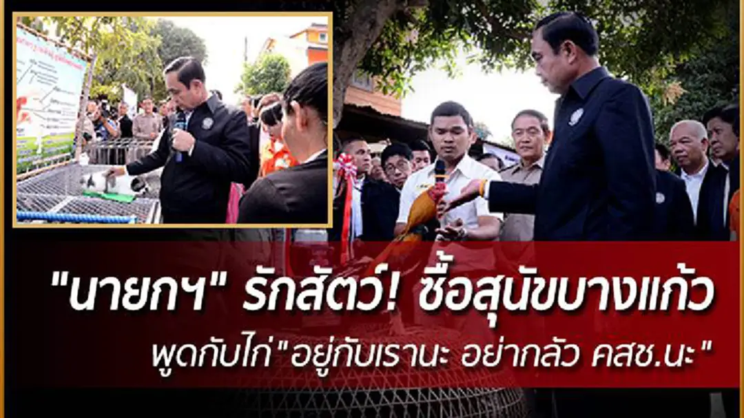 "นายกฯ" รักสัตว์! ซื้อสุนัขบางแก้ว- พูดกับไก่ "อยู่กับเรานะ อย่ากลัว คสช. นะ" "นายกฯ" รักสัตว์! ซื้อสุนัขบางแก้ว- พูดกับไก่ "อยู่กับเรานะ อย่ากลัว คสช. นะ"