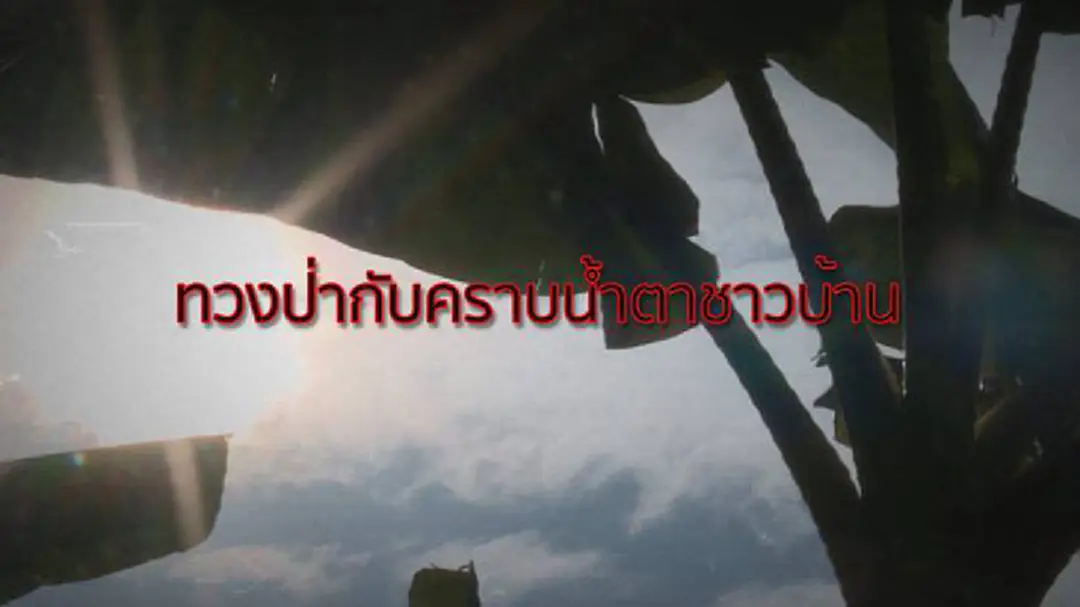 รายงาน : "ฟื้นผืนป่า" สร้างบาดแผลกลางใจชาวบ้าน รายงาน : "ฟื้นผืนป่า" สร้างบาดแผลกลางใจชาวบ้าน