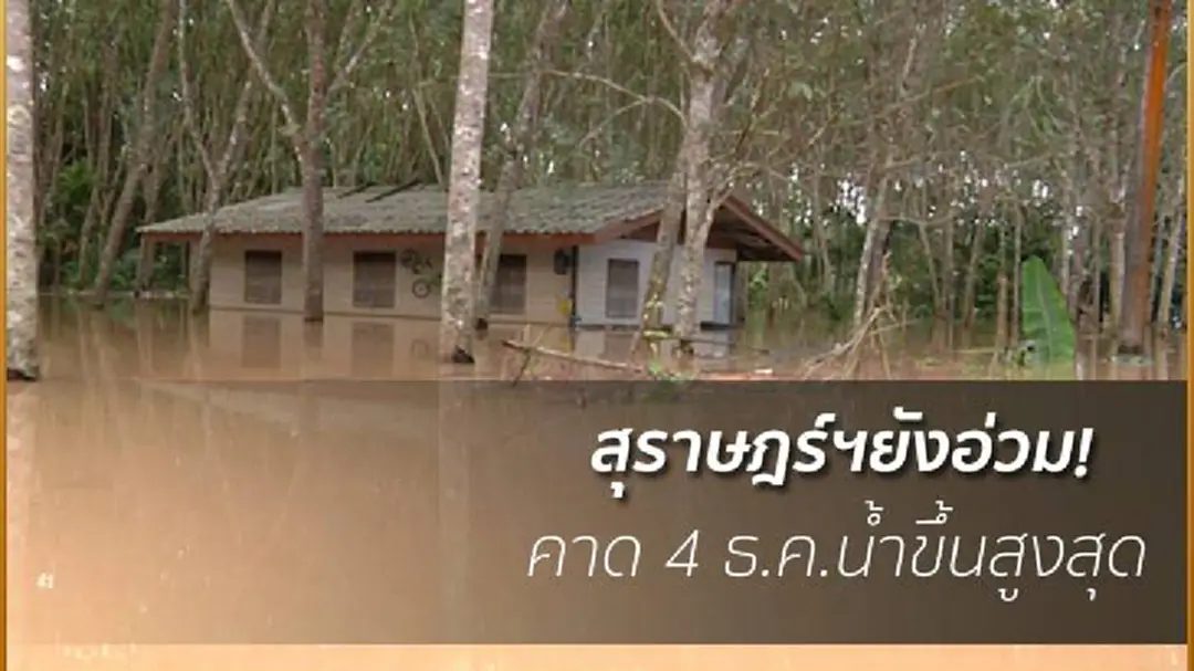 น้ำท่วมสุราษฎร์ฯยังน่าห่วงหลังฝนตกเพิ่มเช้านี้ น้ำท่วมสุราษฎร์ฯยังน่าห่วงหลังฝนตกเพิ่มเช้านี้