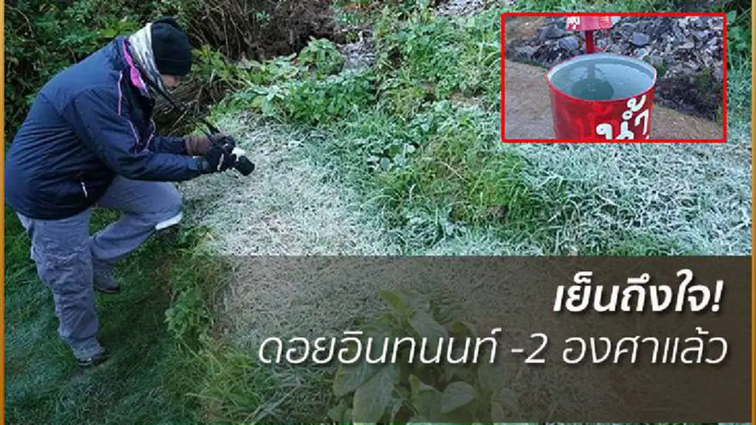 นทท.แห่แชร์ภาพความหนาวเย็นระดับ -2 บนยอดดอยอินทนนท์ นทท.แห่แชร์ภาพความหนาวเย็นระดับ -2 บนยอดดอยอินทนนท์
