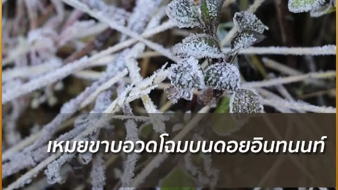 อินทนนท์ยังยะเยือก ยอดดอยเหลือ 6 องศา อินทนนท์ยังยะเยือก ยอดดอยเหลือ 6 องศา