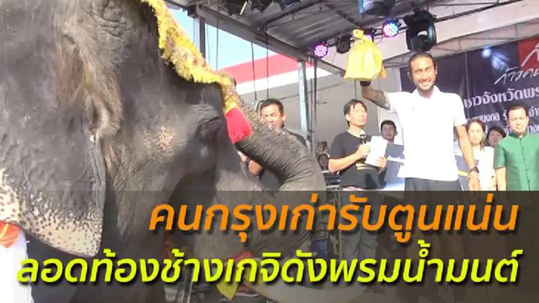 คนกรุงเก่ารับตูนแน่น ลอดท้องช้างเกจิดังพรมน้ำมนต์