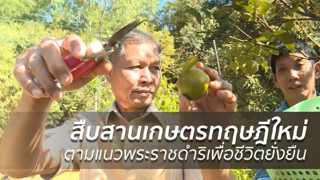 สืบสานเกษตรทฤษฎีใหม่ตามแนวพระราชดำริเพื่อชีวิตยั่งยืน