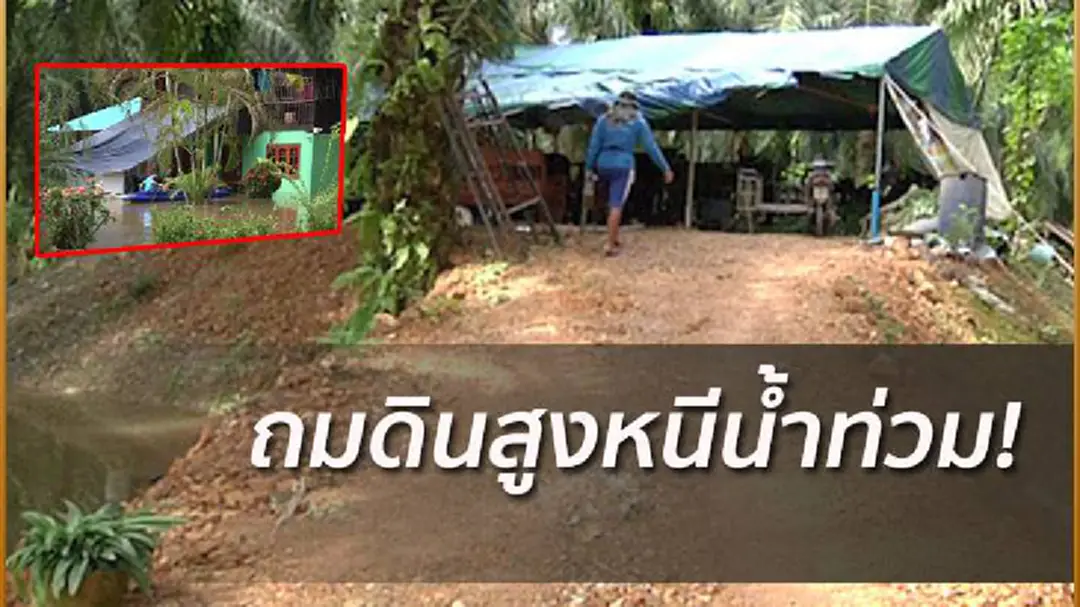 ชาวสุราษฎร์ฯลงทุนถมดินสูงกว่า3เมตรหนีน้ำก้อนใหม่ ชาวสุราษฎร์ฯลงทุนถมดินสูงกว่า3เมตรหนีน้ำก้อนใหม่