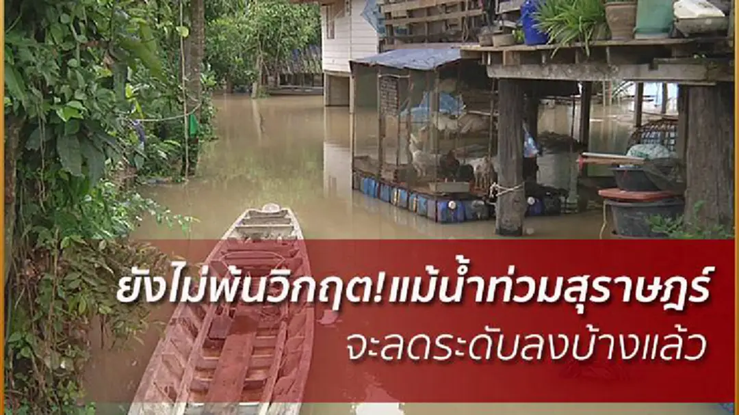 สุราษฎร์ฯแม้น้ำลด แต่ยังไม่พ้นเกณฑ์วิกฤต! สุราษฎร์ฯแม้น้ำลด แต่ยังไม่พ้นเกณฑ์วิกฤต!