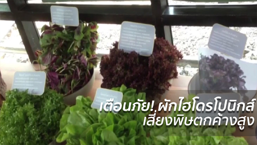 เตือนภัย! ผักไฮโดรโปนิกส์เสี่ยงพิษตกค้างสูง