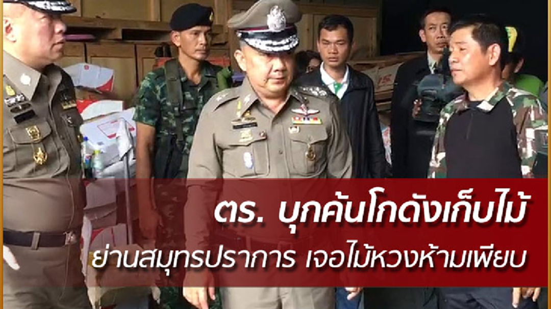 รองผบ.ตร. บุกค้นโกดังค้าไม้ ย่านสมุทรปราการ เจอไม้หวงห้ามเพียบ