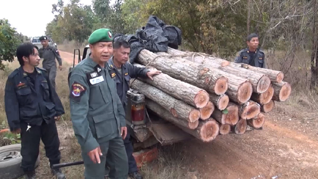จนท.ลำปาง ยิงสกัดรถคนร้าย ลอบขนไม้หวงห้าม
