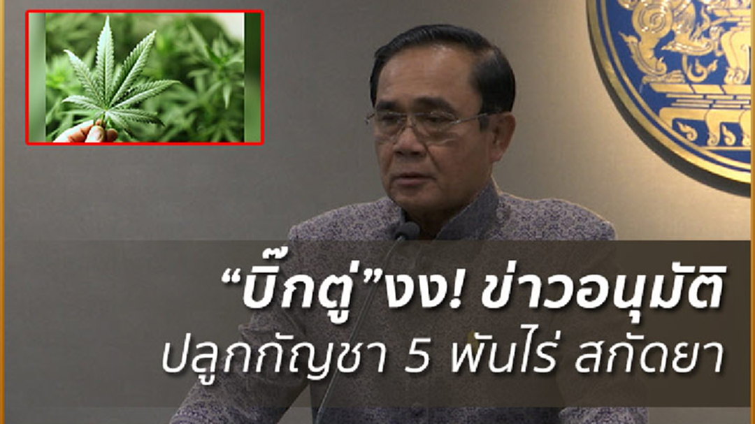 "บิ๊กตู่"ติดเบรกปลูกกัญชา 5 พันไร่ คนไทยยังไม่ยอมรับ