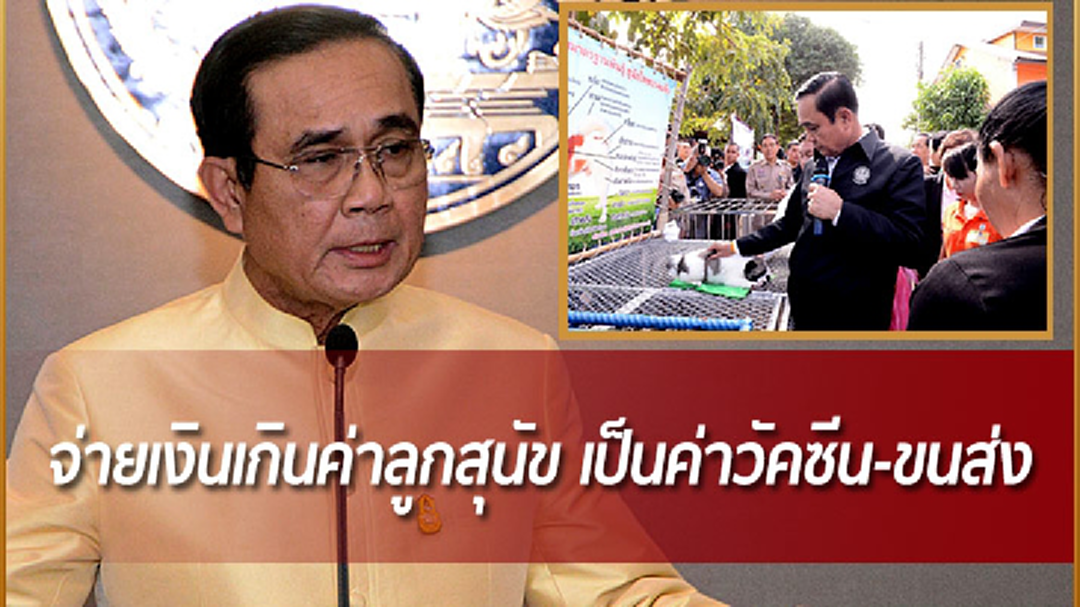 นายกฯ ขออย่าทำเรื่องสุนัขให้เป็นเรื่องใหญ่