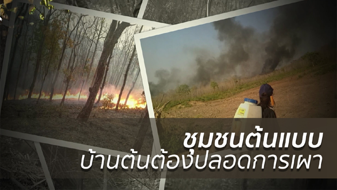 ชุมชนต้นแบบ บ้านต้นต้องปลอดการเผา