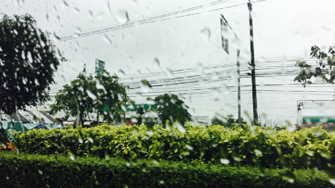 เตรียมพกร่ม! กทม. ฝนฟ้าคะนอง ร้อยละ 40 - เกษตรกรเหนือตอนล่างระวังความเสียหาย