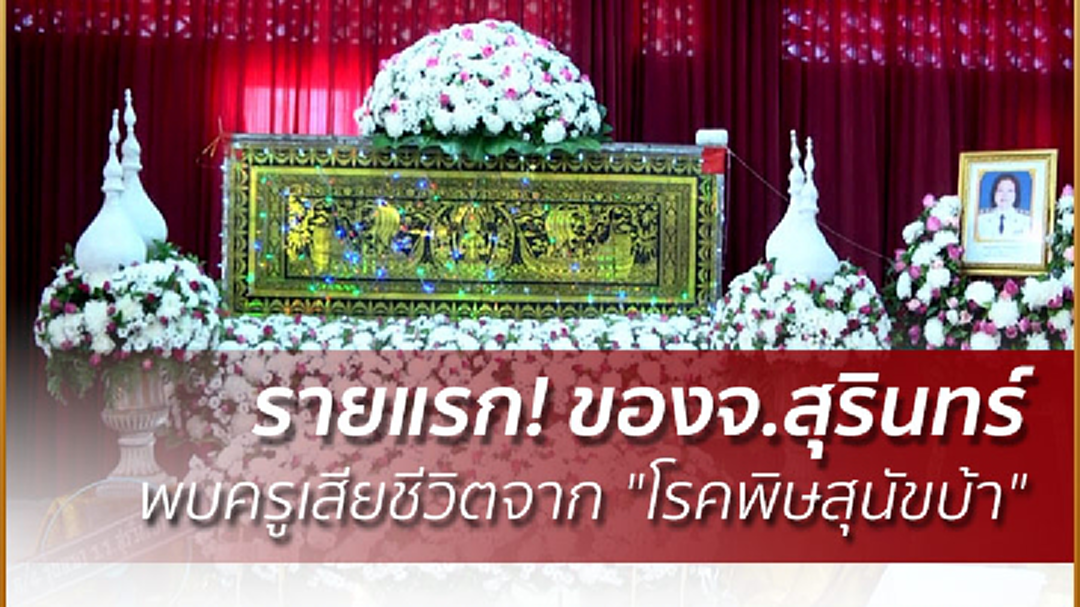 รายแรก! ของจ.สุรินทร์ พบครูเสียชีวิตจาก "โรคพิษสุนัขบ้า"