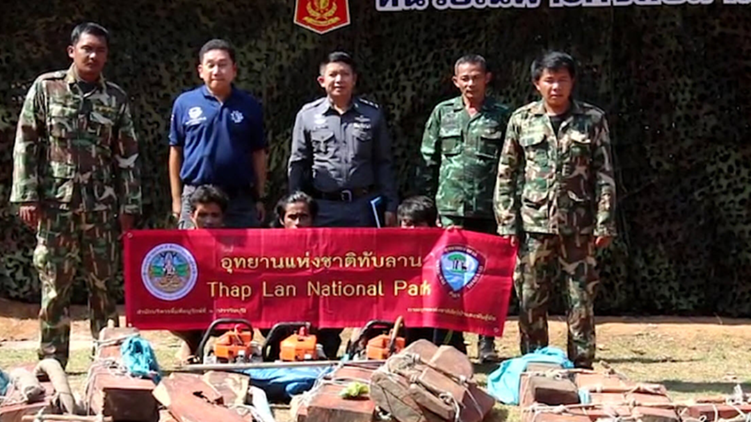 จนท. บุกจับมอดไม้ ชาวกัมพูชา 3 ราย ลอบตัดไม้พะยูง