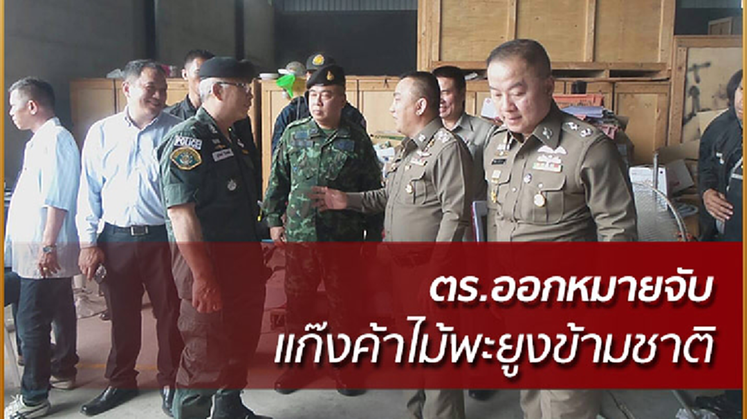 ตร.ออกหมายจับแก๊งค้าไม้พะยูงข้ามชาติ