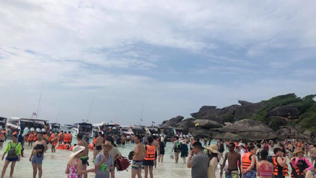 แน่นเกาะ! นักวิชาการร้องจ๊าก สิมิลันถูกทำลาย