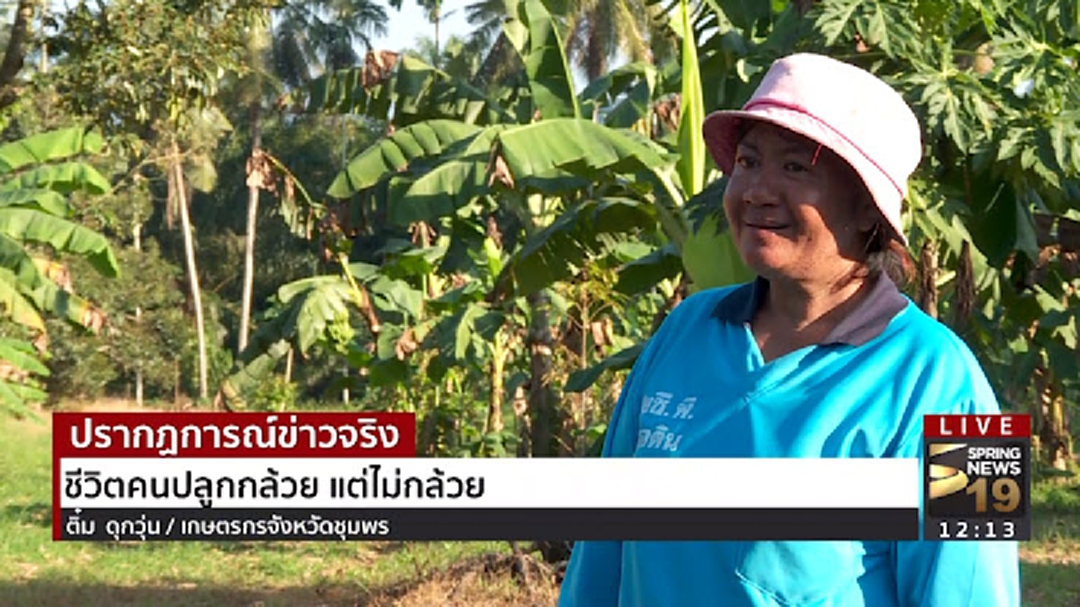 ชีวิตเกษตรกรปลูกกล้วย แต่ไม่กล้วย