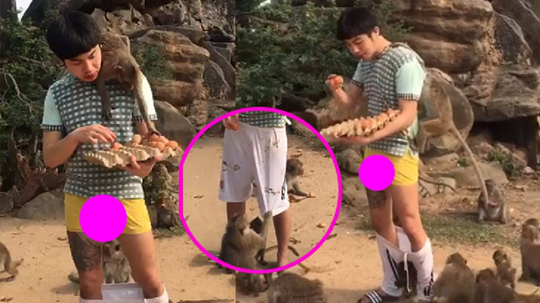 "เจ้าจ๋อ" ทะลึ่ง! หนุ่มใจบุญแจกไข่ ดันโดนแกล้ง! ดึงกางเกง "เจ้าจ๋อ" ทะลึ่ง! หนุ่มใจบุญแจกไข่ ดันโดนแกล้ง! ดึงกางเกง
