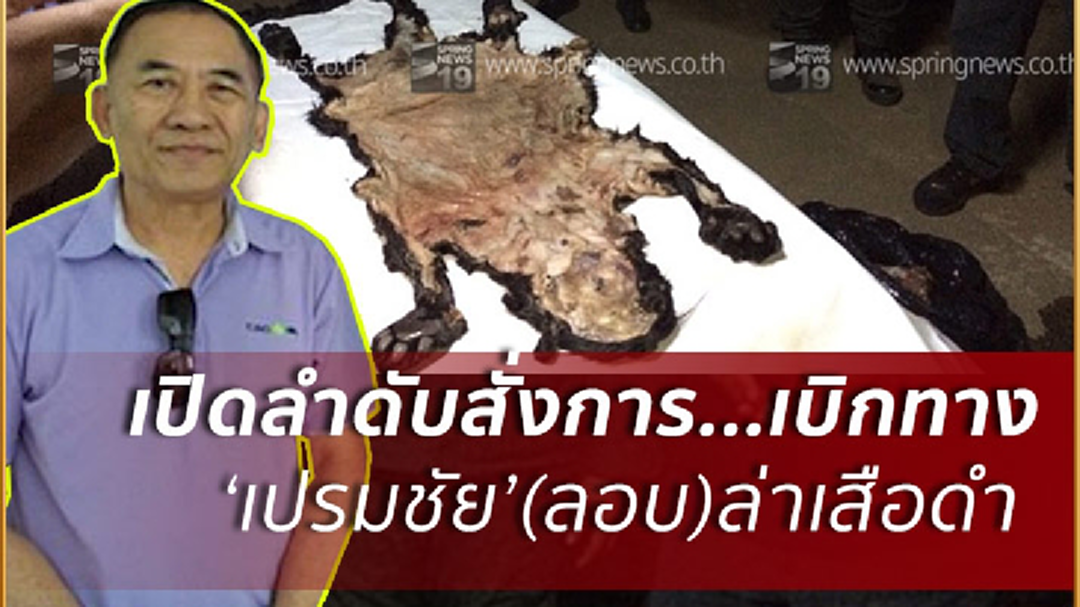 เปิดตัว!'นพดล พฤกษะวัน' คนเชื่อม'เปรมชัย'เข้าป่าโดยสะดวก เปิดตัว!'นพดล พฤกษะวัน' คนเชื่อม'เปรมชัย'เข้าป่าโดยสะดวก
