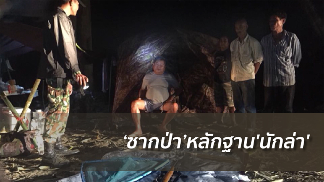‘ซากป่า’หลักฐาน’นักล่า'