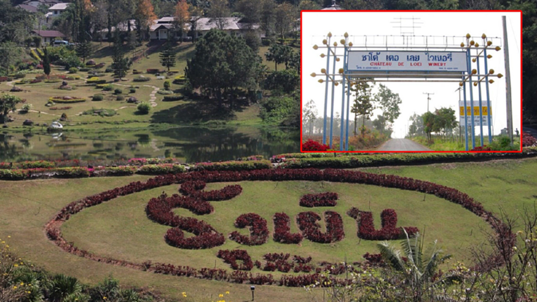 ป่าไม้ จ่อตรวจโรงงานผลิตไวน์ ชาโต เดอ เลย ของ "ตระกูลกรรณสูต" ป่าไม้ จ่อตรวจโรงงานผลิตไวน์ ชาโต เดอ เลย ของ "ตระกูลกรรณสูต"