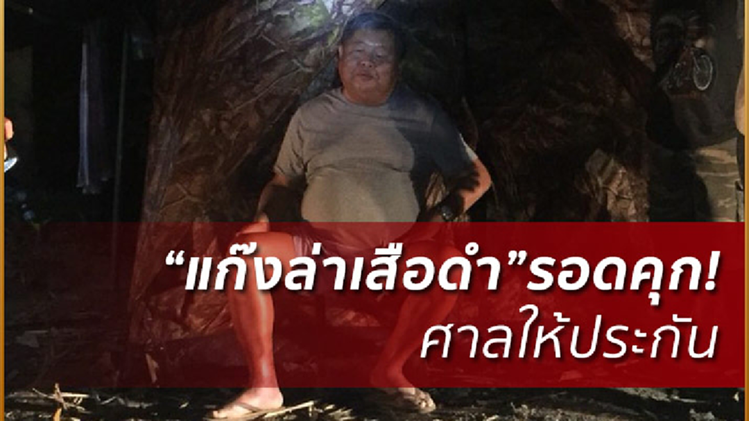 ให้ประกัน"เปรมชัย"พร้อมแก๊งล่าเสือดำ คนละ 150,000 ให้ประกัน"เปรมชัย"พร้อมแก๊งล่าเสือดำ คนละ 150,000