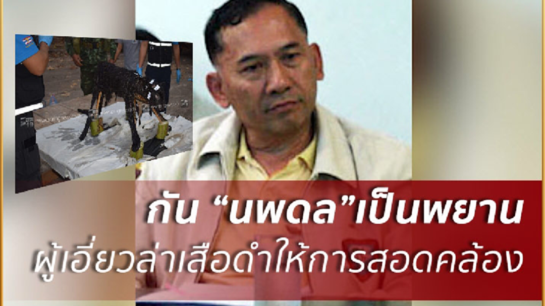 ยังไม่แจ้งข้อหา“นพดล”เบิกทางแก๊งล่าเสือดำ เผย อยู่ระหว่างลำดับเหตุการณ์ ยังไม่แจ้งข้อหา“นพดล”เบิกทางแก๊งล่าเสือดำ เผย อยู่ระหว่างลำดับเหตุการณ์