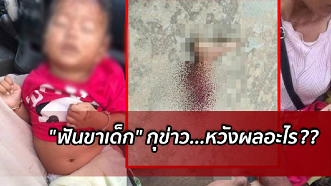 ข่าวจริงเช็กแล้ว ... "ฟันขาเด็ก" กุข่าว...หวังผลอะไร?? ข่าวจริงเช็กแล้ว ... "ฟันขาเด็ก" กุข่าว...หวังผลอะไร??