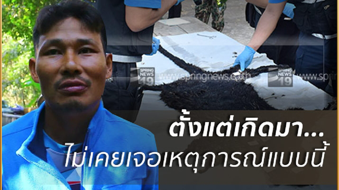 ผู้ใหญ่บ้านรับไม่ได้!ลั่น'เปรมชัย'อย่าทำอีกลูกหลานจะได้มีตัวอย่างดีๆดู (มีคลิป) ผู้ใหญ่บ้านรับไม่ได้!ลั่น'เปรมชัย'อย่าทำอีกลูกหลานจะได้มีตัวอย่างดีๆดู (มีคลิป)