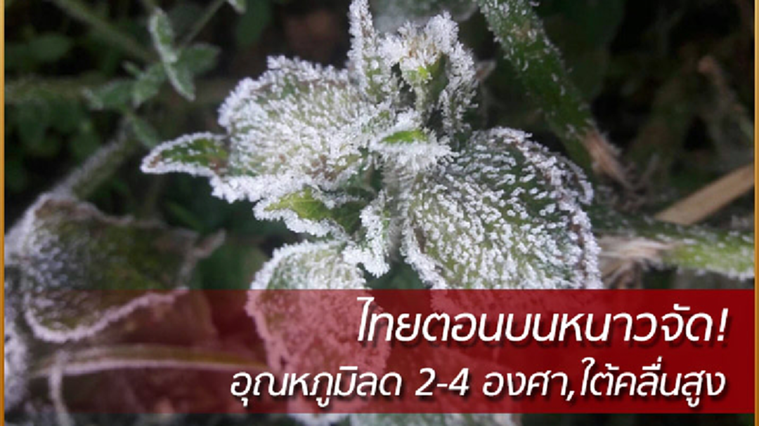 ไทยตอนบนยังหนาวจัด! อุณหภูมิลด 2-4 องศา,กทม. 1-3 องศา ไทยตอนบนยังหนาวจัด! อุณหภูมิลด 2-4 องศา,กทม. 1-3 องศา