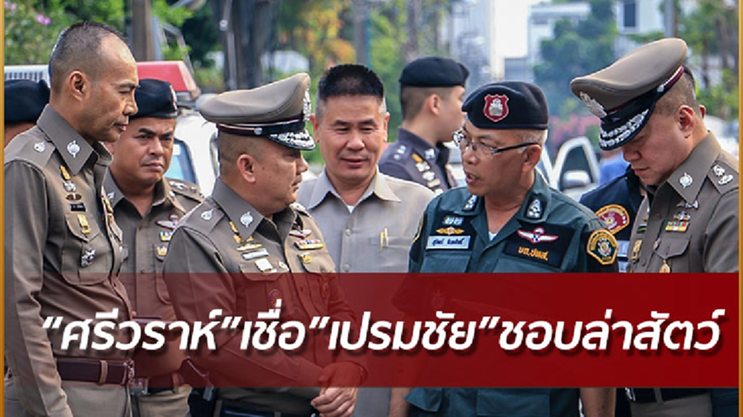 "ศรีวราห์" เชื่อ "เปรมชัย" ชอบล่าเสือดำ หลังเจอไรเฟิลซุกบ้านพักกว่า 40 กระบอก "ศรีวราห์" เชื่อ "เปรมชัย" ชอบล่าเสือดำ หลังเจอไรเฟิลซุกบ้านพักกว่า 40 กระบอก