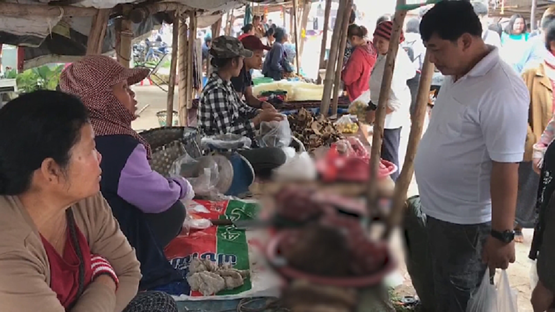 ตลาดชายแดนหนองคาย พบลักลอบขายสัตว์ป่าคุ้มครอง ข้ามโขงจากลาว