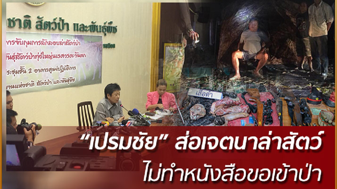 "เปรมชัย" ไม่ทำหนังสือขอเข้าป่า ส่อเจตนาล่าเสือดำ "เปรมชัย" ไม่ทำหนังสือขอเข้าป่า ส่อเจตนาล่าเสือดำ