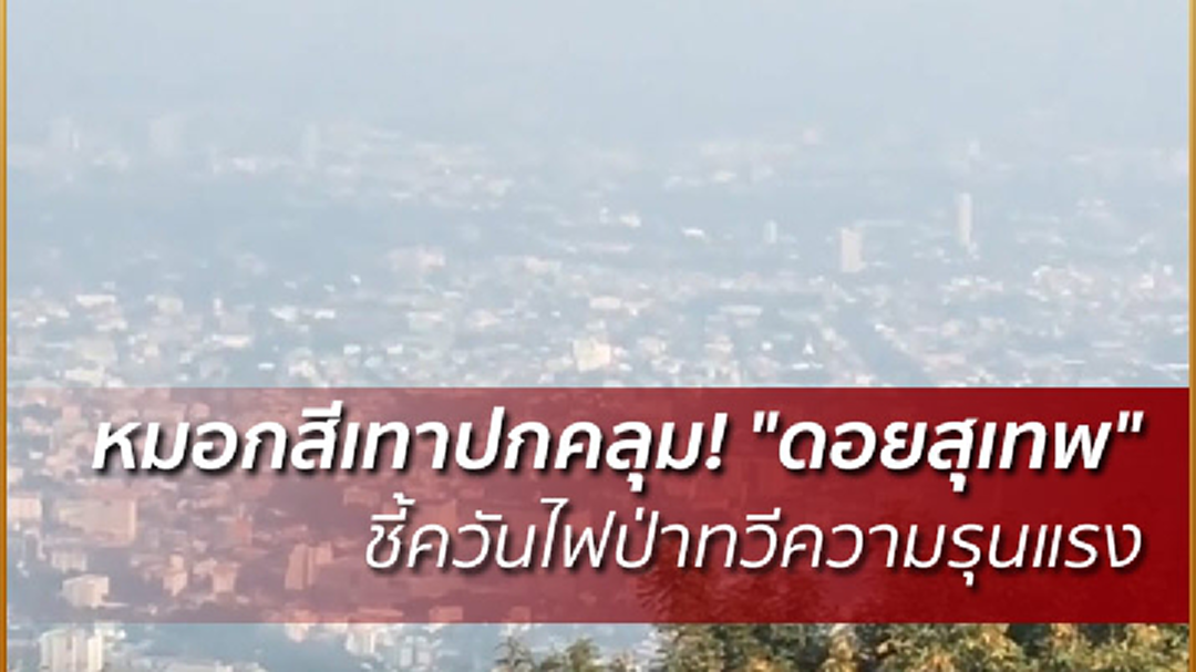 หมอกสีเทาปกคลุม! "ดอยสุเทพ" ชี้ควันไฟป่าทวีความรุนแรง หมอกสีเทาปกคลุม! "ดอยสุเทพ" ชี้ควันไฟป่าทวีความรุนแรง