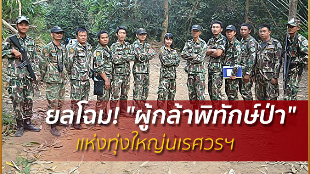 ยลโฉม! "ผู้กล้าพิทักษ์ป่า" แห่งทุ่งใหญ่นเรศวรฯ ยลโฉม! "ผู้กล้าพิทักษ์ป่า" แห่งทุ่งใหญ่นเรศวรฯ