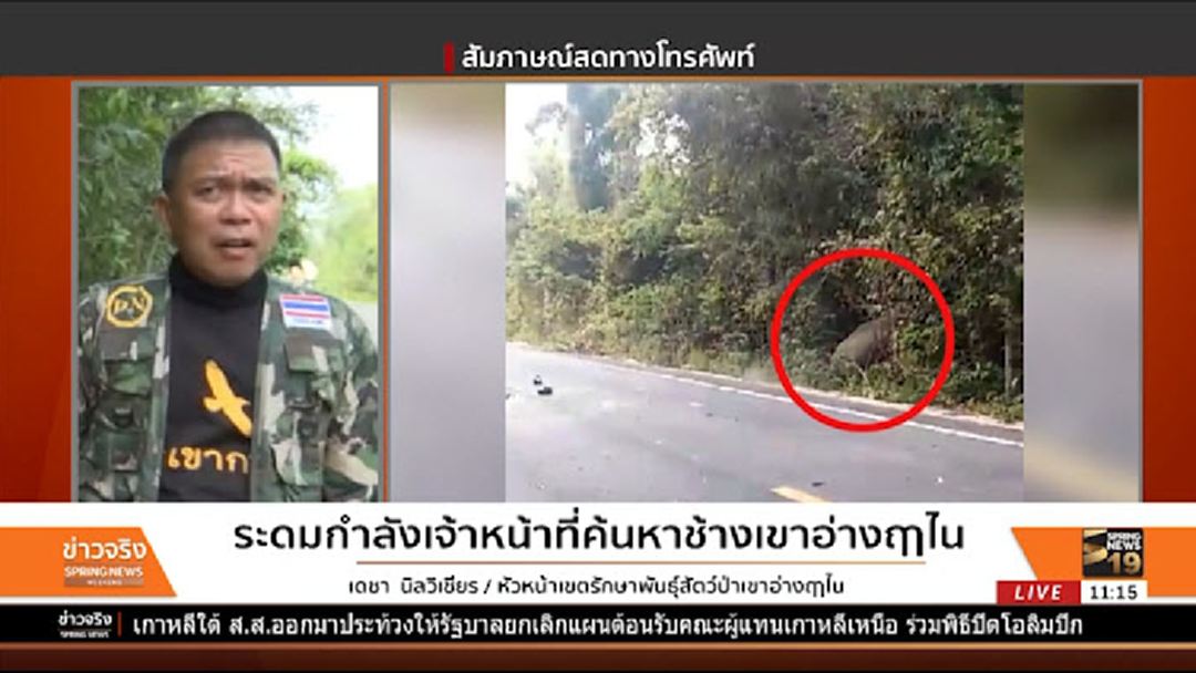 จนท.เขตรักษาพันธุ์สัตว์ป่าฯ ระดมกำลังค้นหาช้างเขาอ่างฤาไน จนท.เขตรักษาพันธุ์สัตว์ป่าฯ ระดมกำลังค้นหาช้างเขาอ่างฤาไน