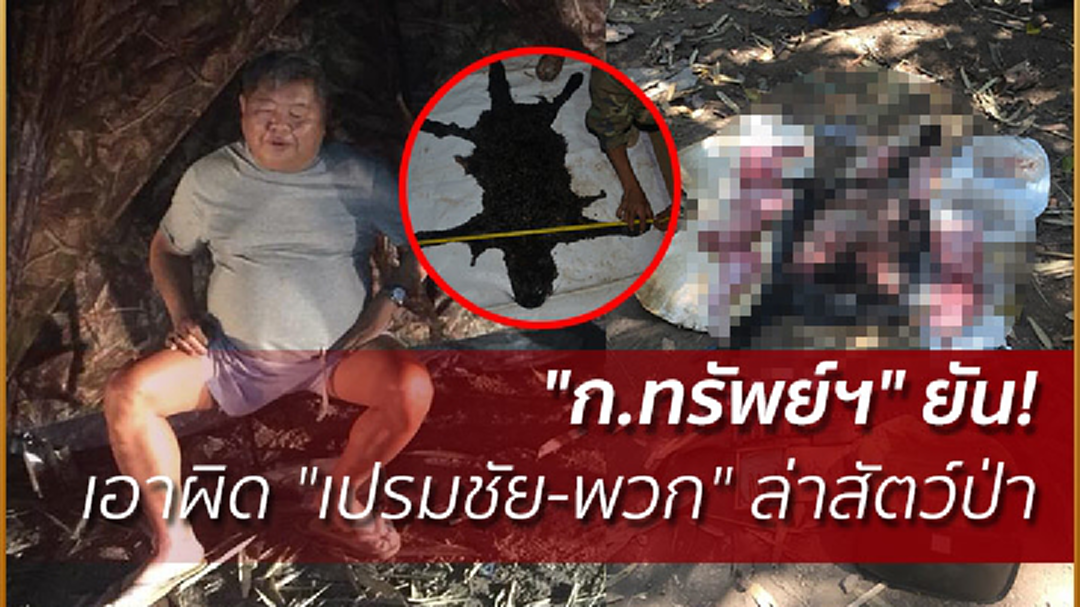 "ก.ทรัพย์ฯ" ยัน! เอาผิด "เปรมชัย-พวก" ล่าสัตว์ป่า "ก.ทรัพย์ฯ" ยัน! เอาผิด "เปรมชัย-พวก" ล่าสัตว์ป่า